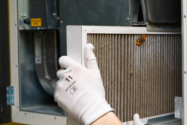 Best Air Duct Cleaning Near Me  in Minorca, LA