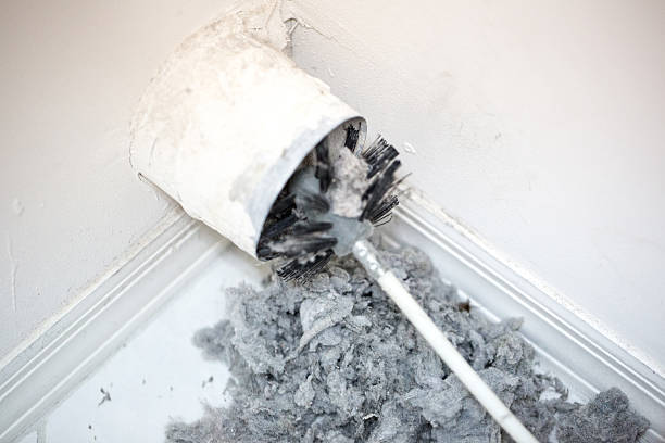 Best HVAC Air Duct Cleaning  in Minorca, LA